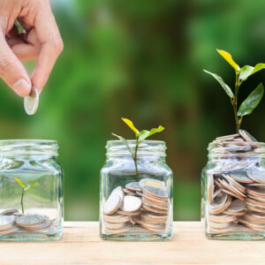 Wealth Management