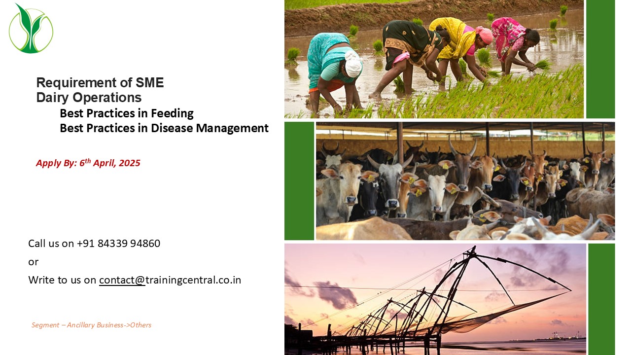 Requirement of Content Providers for SME Dairy Operations