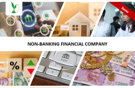 "Non-Banking Financial Companies heading,mony,gold,loan, "